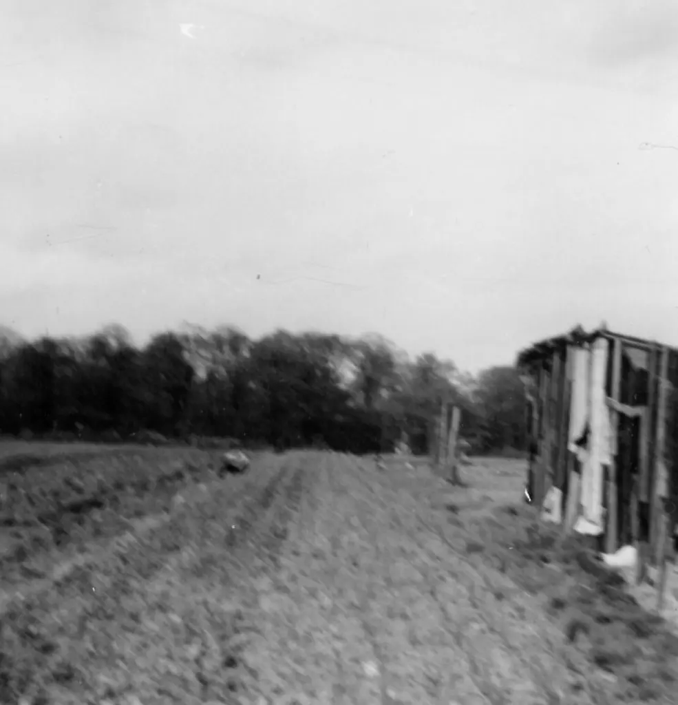 Champs rue de la foret