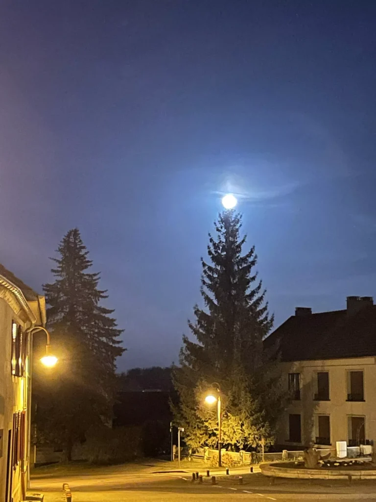 Lune sapin Rouhling mars 2022